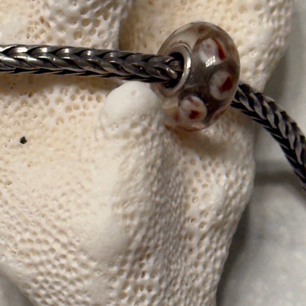 Trollbeads Silver Bracelet with Brown Bead